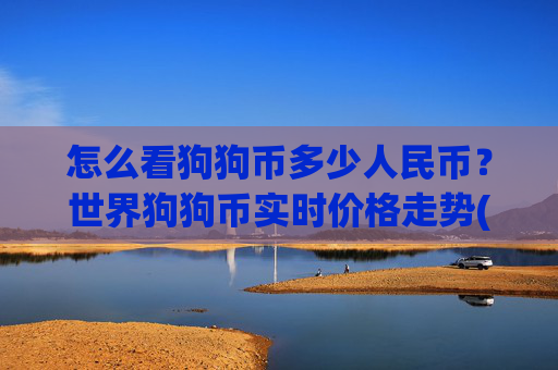 怎么看狗狗币多少人民币？世界狗狗币实时价格走势(现价3.0383元)