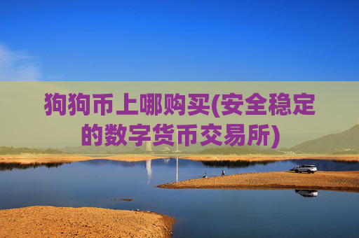 狗狗币上哪购买(安全稳定的数字货币交易所)