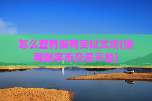 怎么查有没有买以太坊(便利数字币交易平台)