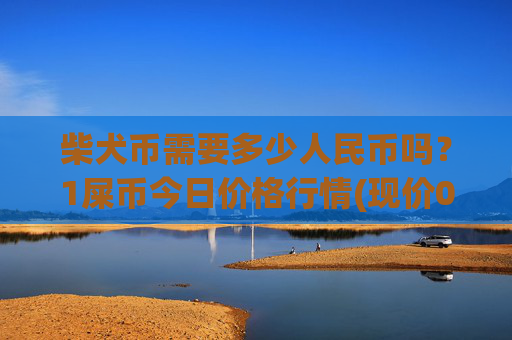 柴犬币需要多少人民币吗?1屎币今日价格行情(现价0.00021876元)