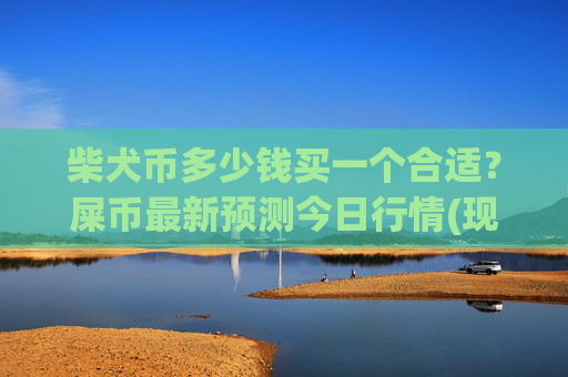 柴犬币多少钱买一个合适?屎币最新预测今日行情(现价0.00021813元)