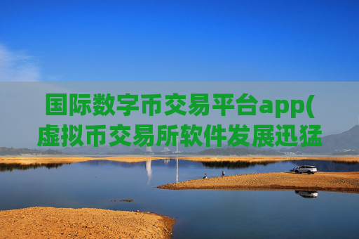 国际数字币交易平台app(虚拟币交易所软件发展迅猛)