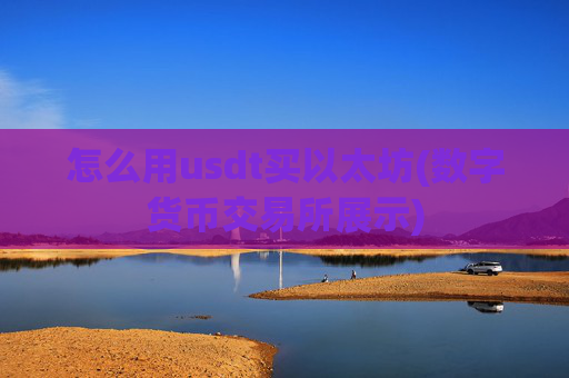 怎么用usdt买以太坊(数字货币交易所展示)
