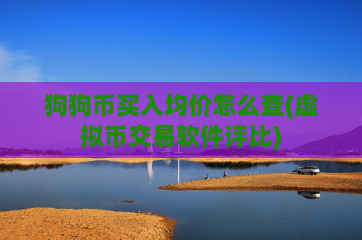 狗狗币买入均价怎么查(虚拟币交易软件评比)