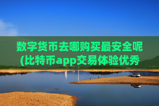 数字货币去哪购买最安全呢(比特币app交易体验优秀)