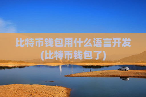 比特币钱包用什么语言开发(比特币钱包了)