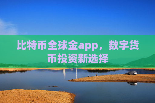 比特币全球金app，数字货币投资新选择