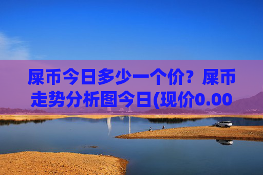 屎币今日多少一个价？屎币走势分析图今日(现价0.00021913元)