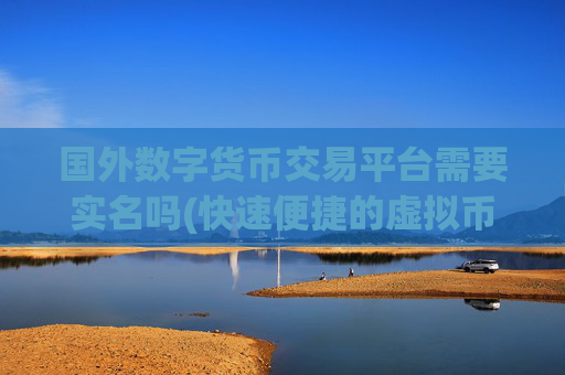 国外数字货币交易平台需要实名吗(快速便捷的虚拟币交易客户端)
