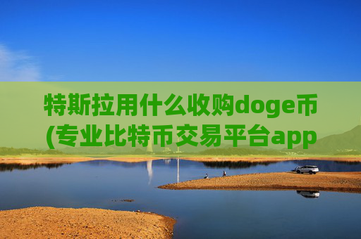 特斯拉用什么收购doge币(专业比特币交易平台app推荐)