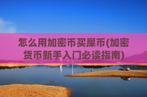 怎么用加密币买屎币(加密货币新手入门必读指南)