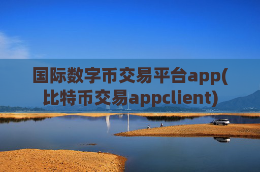 国际数字币交易平台app(比特币交易appclient)