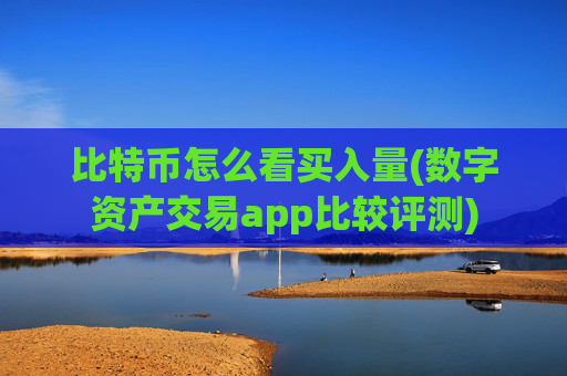 比特币怎么看买入量(数字资产交易app比较评测)