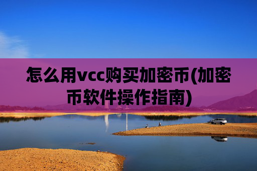 怎么用vcc购买加密币(加密币软件操作指南)