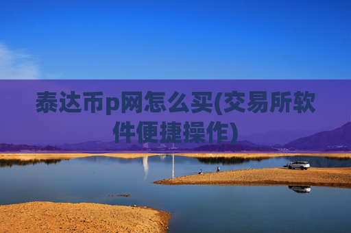 泰达币p网怎么买(交易所软件便捷操作)