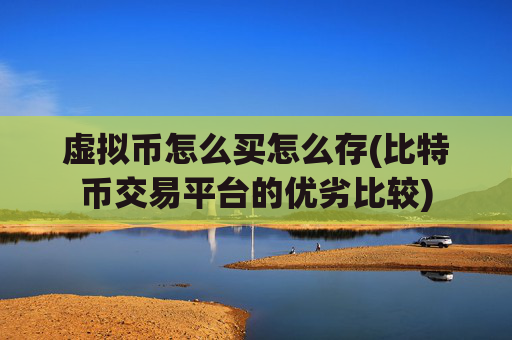 虚拟币怎么买怎么存(比特币交易平台的优劣比较)