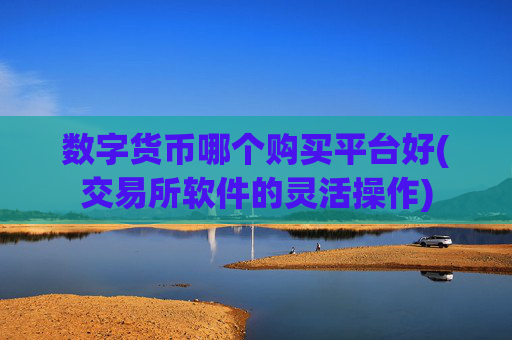 数字货币哪个购买平台好(交易所软件的灵活操作)