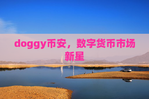 doggy币安，数字货币市场新星