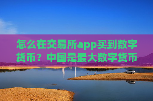 怎么在交易所app买到数字货币?中国是最大数字货币交易网站
