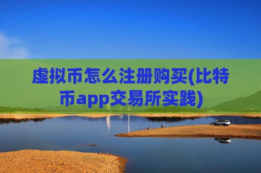 虚拟币怎么注册购买(比特币app交易所实践)