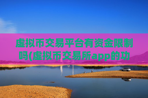 虚拟币交易平台有资金限制吗(虚拟币交易所app的功能优势)