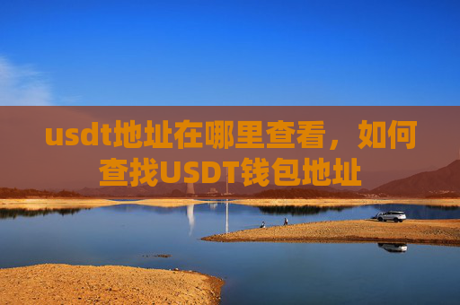 usdt地址在哪里查看,如何查找USDT钱包地址