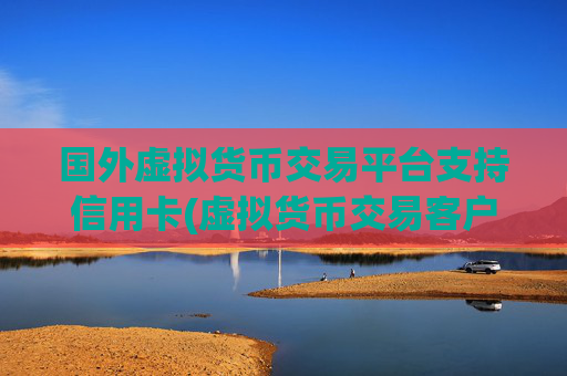 国外虚拟货币交易平台支持信用卡(虚拟货币交易客户端功能强大)
