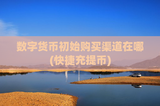 数字货币初始购买渠道在哪(快捷充提币)