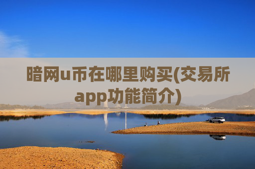 暗网u币在哪里购买(交易所app功能简介)