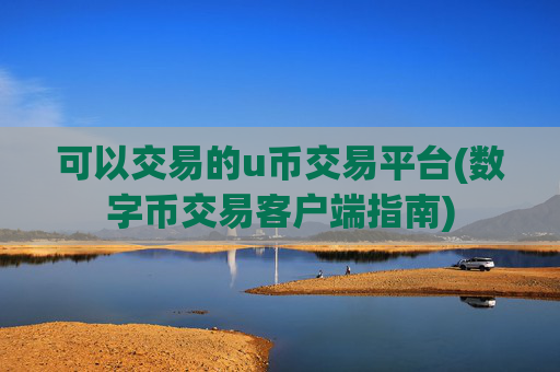 可以交易的u币交易平台(数字币交易客户端指南)