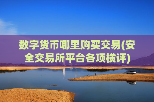 数字货币哪里购买交易(安全交易所平台各项横评)