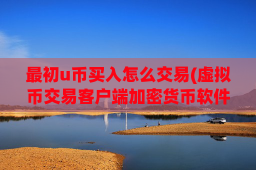最初u币买入怎么交易(虚拟币交易客户端加密货币软件)