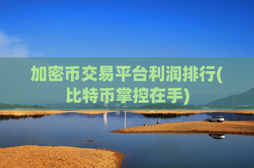 加密币交易平台利润排行(比特币掌控在手)
