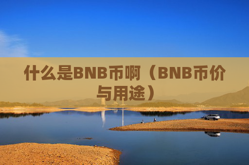 什么是BNB币啊(BNB币价与用途)