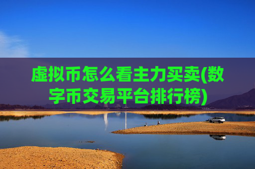 虚拟币怎么看主力买卖(数字币交易平台排行榜)