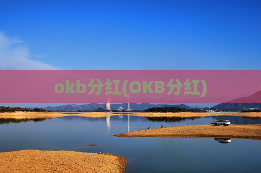 okb分红(OKB分红)
