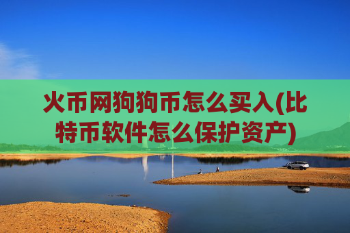 火币网狗狗币怎么买入(比特币软件怎么保护资产)