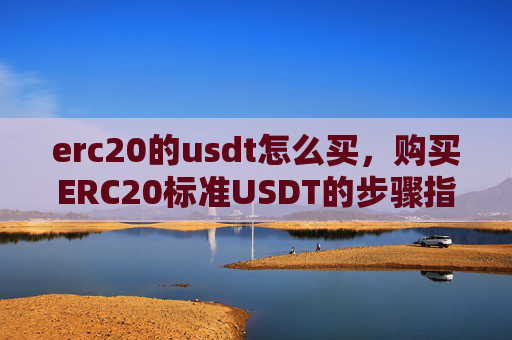 erc20的usdt怎么买,购买ERC20标准USDT的步骤指南