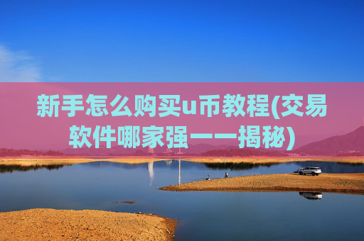 新手怎么购买u币教程(交易软件哪家强一一揭秘)