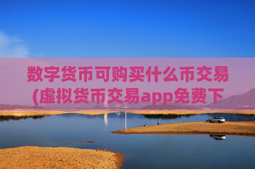 数字货币可购买什么币交易(虚拟货币交易app免费下载)
