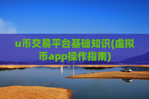 u币交易平台基础知识(虚拟币app操作指南)
