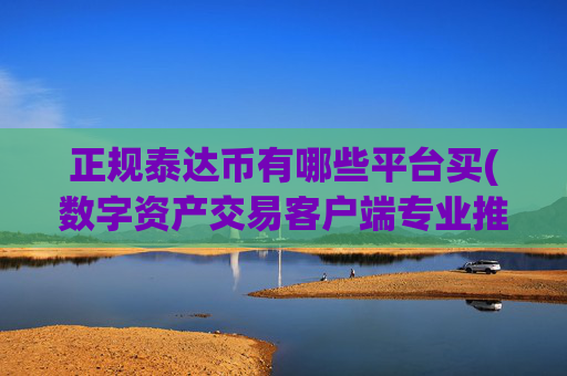 正规泰达币有哪些平台买(数字资产交易客户端专业推荐)