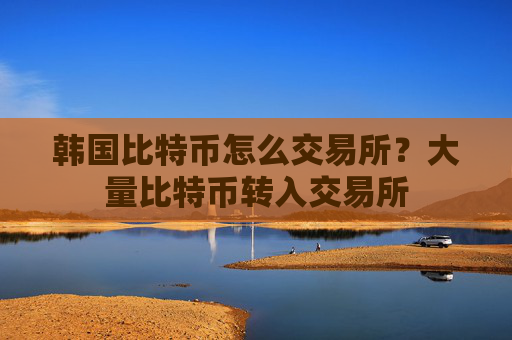 韩国比特币怎么交易所?大量比特币转入交易所