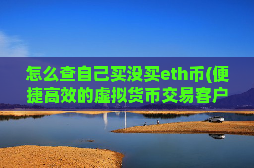 怎么查自己买没买eth币(便捷高效的虚拟货币交易客户端)