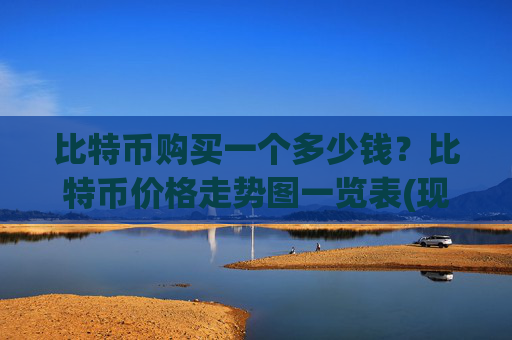 比特币购买一个多少钱?比特币价格走势图一览表(现价704983.83元)