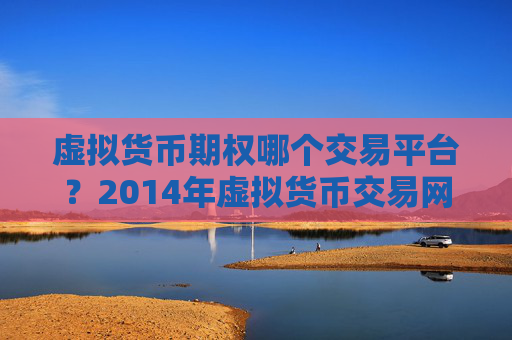 虚拟货币期权哪个交易平台?2014年虚拟货币交易网站