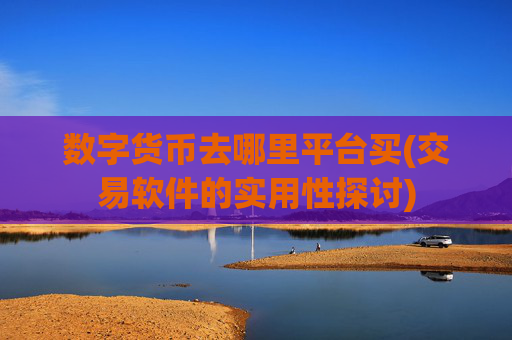 数字货币去哪里平台买(交易软件的实用性探讨)