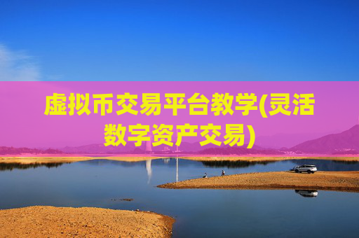 虚拟币交易平台教学(灵活数字资产交易)