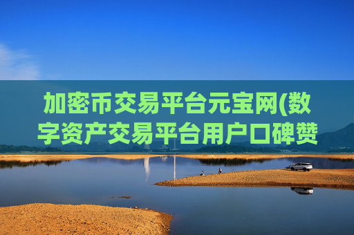 加密币交易平台元宝网(数字资产交易平台用户口碑赞誉)