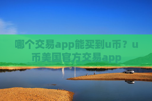 哪个交易app能买到u币?u币美国官方交易app